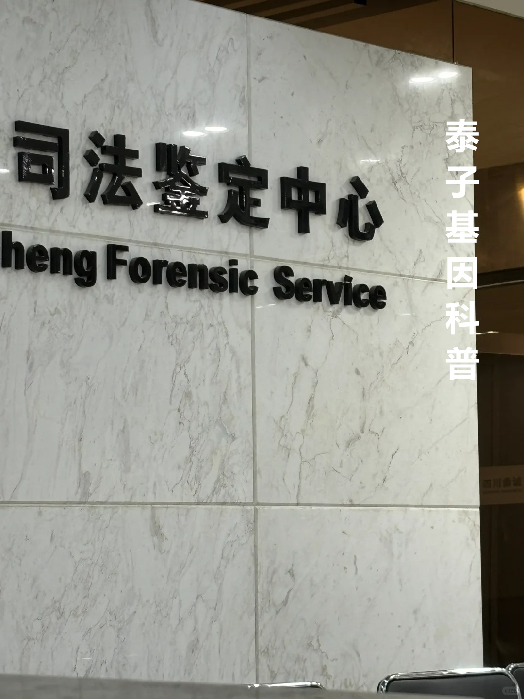 親子鑒定準確率