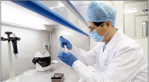 廣州做親子鑒定需要的材料
