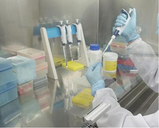 人的基因有時(shí)候是可以改變的